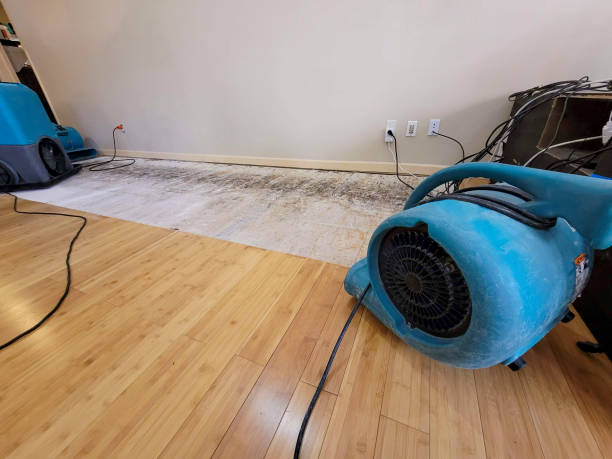 Reliable Basement Flood Cleanup contractor in Merced, CA by Hirex Water Damage