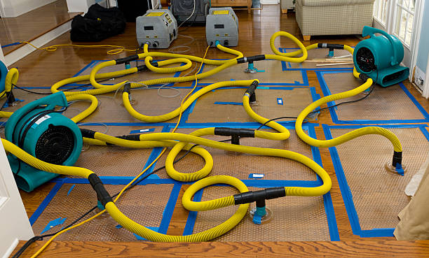 Professional Basement Flood Cleanup technician working in Merced, CA